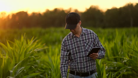 Linseneffekt:-Landwirt-Verwendet-Digitalen-Tablet-Computer-Auf-Dem-Feld-Für-Sojabohnenanbau,-Anwendung-Moderner-Technologie-Im-Landwirtschaftlichen-Anbau